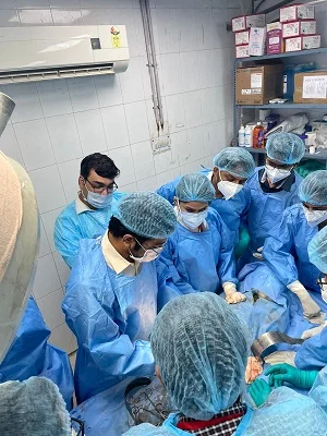 Cadaveric Workshop Teaching Surgery Students about Vascular Surgery